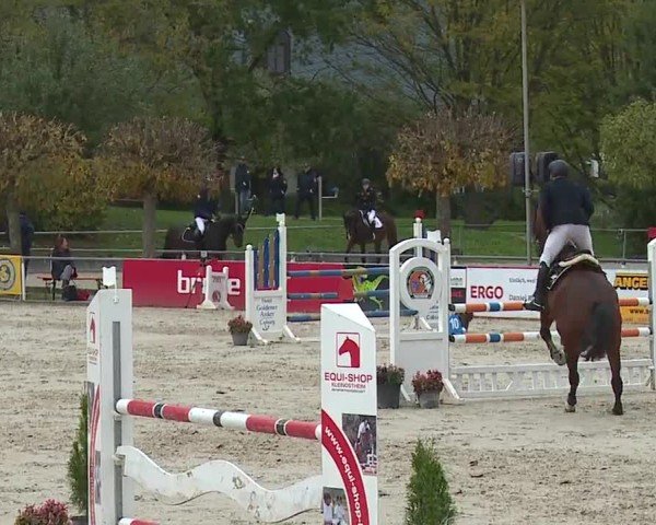 Reitturnier Frankenhof-Sonnefeld/Ofr. 2024