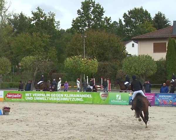 Reitturnier Frankenhof-Sonnefeld/Ofr. 2024