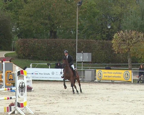 Reitturnier Frankenhof-Sonnefeld/Ofr. 2024