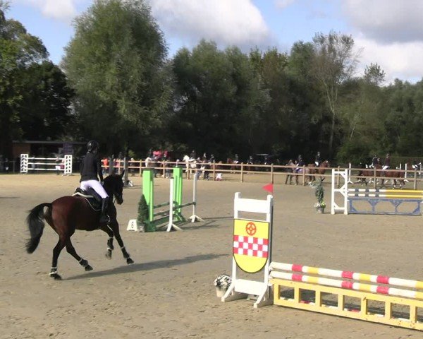 Reitturnier Kamen 2024