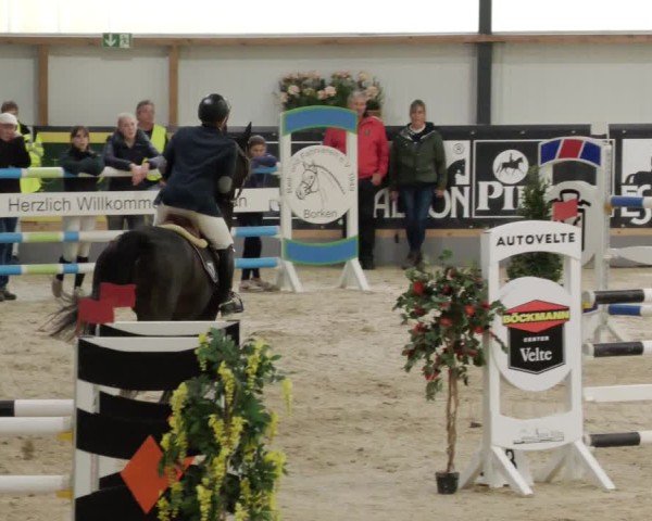 Reitturnier Borken 2024
