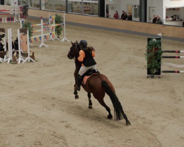 Reitturnier Borken 2024