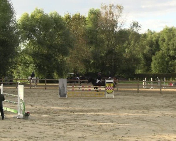 Reitturnier Kamen 2024