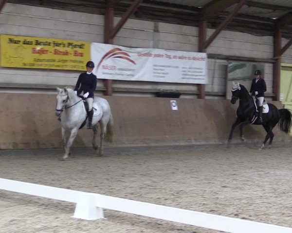 Reitturnier Elisenau 2024