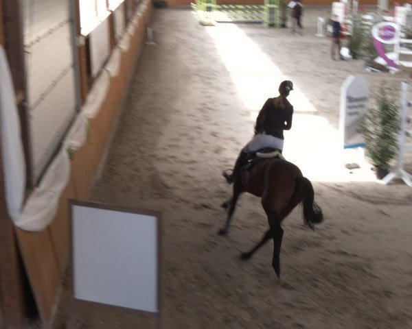 Reitturnier Xanten - Reitanlage Miss 2024