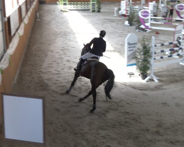 Reitturnier Xanten - Reitanlage Miss 2024