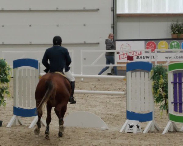 Reitturnier Borken 2024