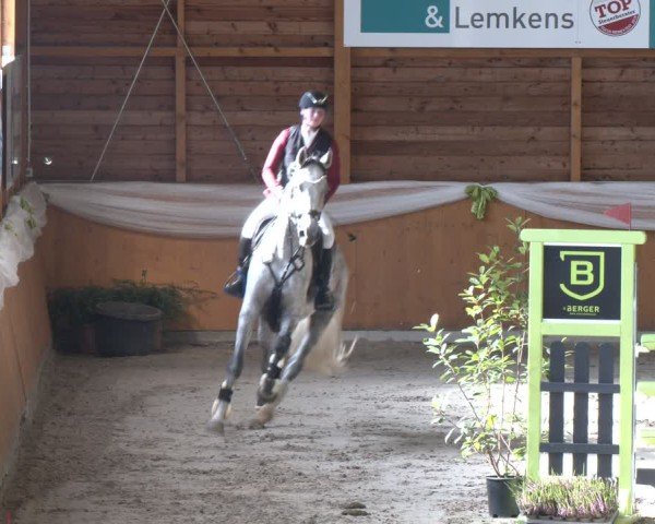 Reitturnier Xanten - Reitanlage Miss 2024