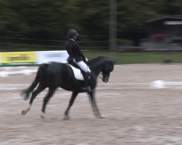 Reitturnier Igls 2024
