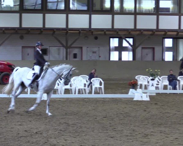 Reitturnier Kamen 2024