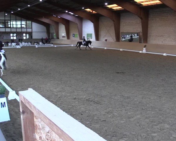 Reitturnier Kamen 2024