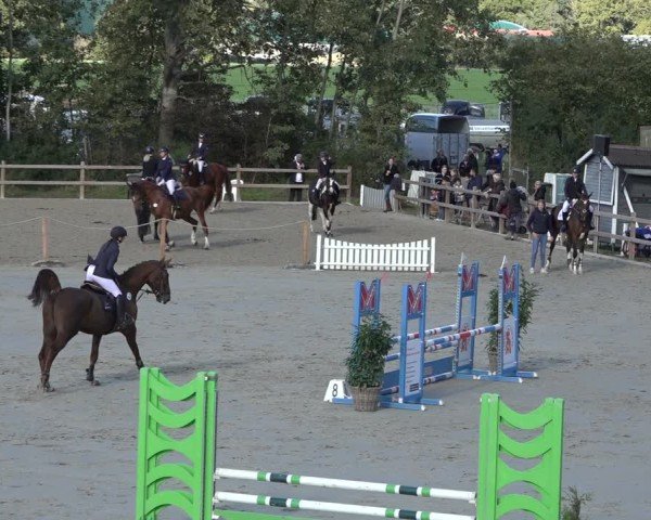Reitturnier Scharnebeck 2024