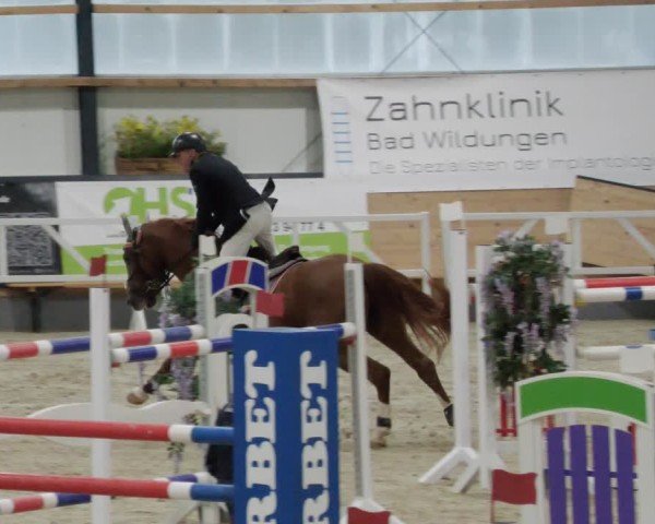Reitturnier Borken 2024