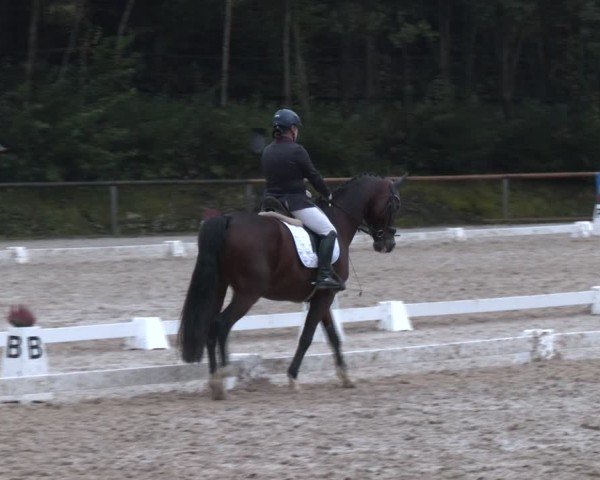 Reitturnier Igls 2024