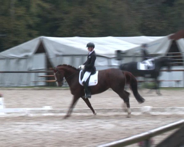 Reitturnier Igls 2024