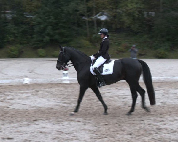 Reitturnier Igls 2024