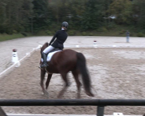 Reitturnier Igls 2024
