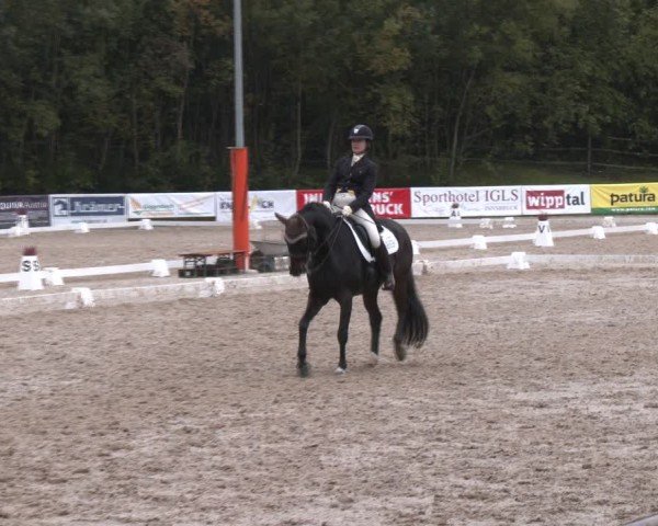 Reitturnier Igls 2024