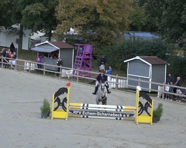 Reitturnier Scharnebeck 2024