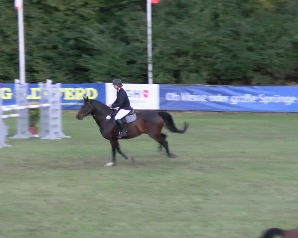 Reitturnier Scharnebeck 2024
