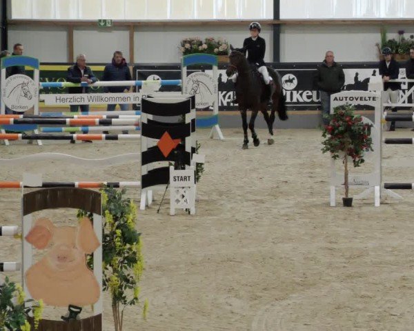 Reitturnier Borken 2024