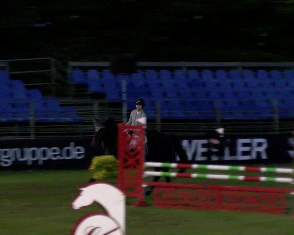 Reitturnier Scharnebeck 2024