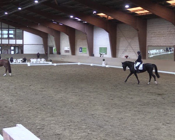 Reitturnier Kamen 2024