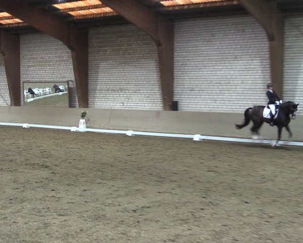 Reitturnier Kamen 2024