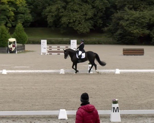 Reitturnier Tübingen 2024