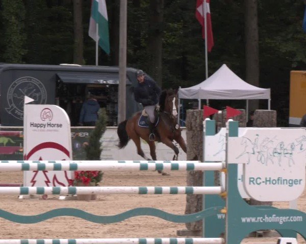 Reitturnier Ranshofen - Braunau am Inn 2024
