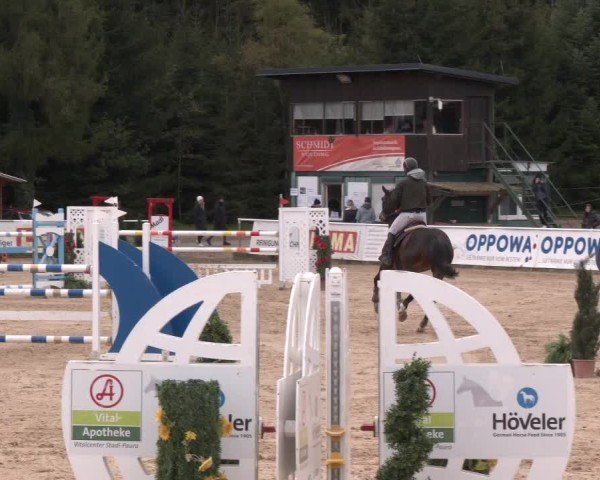 Reitturnier Ranshofen - Braunau am Inn 2024