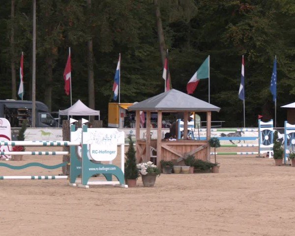 Reitturnier Ranshofen - Braunau am Inn 2024