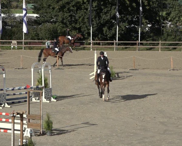 Reitturnier Scharnebeck 2024