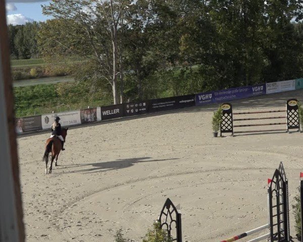 Reitturnier Scharnebeck 2024