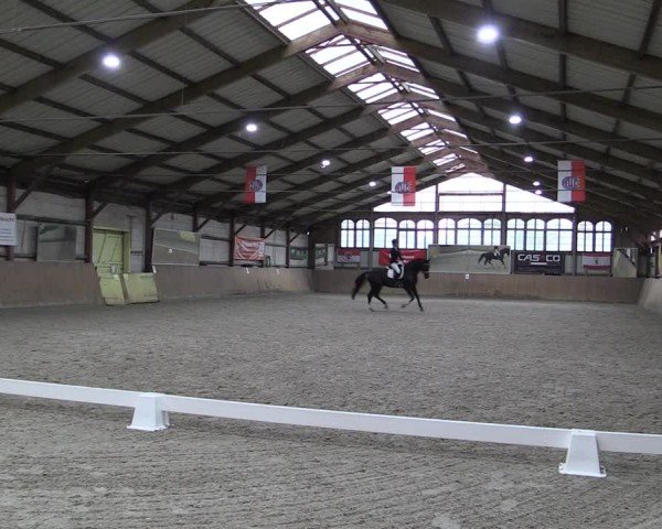 Reitturnier Elisenau 2024