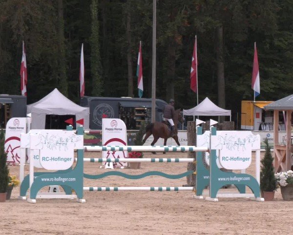 Reitturnier Ranshofen - Braunau am Inn 2024