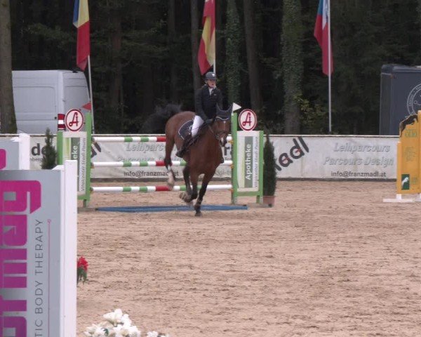 Reitturnier Ranshofen - Braunau am Inn 2024
