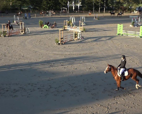Reitturnier Scharnebeck 2024