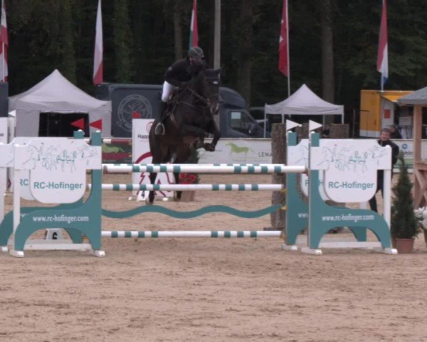 Reitturnier Ranshofen - Braunau am Inn 2024