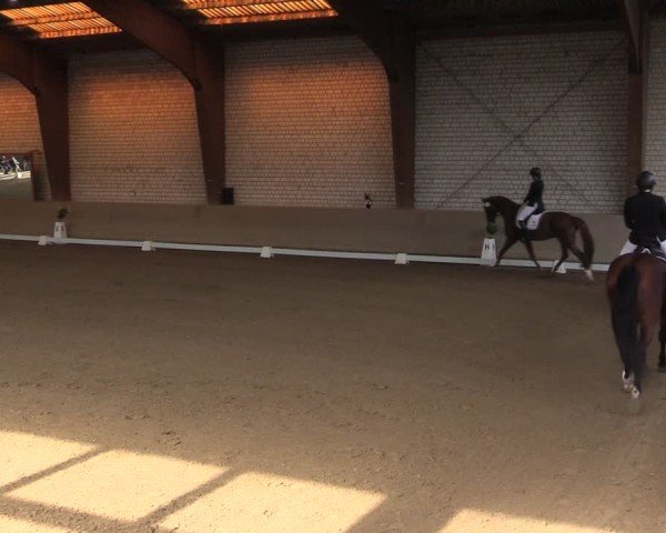 Reitturnier Kamen 2024