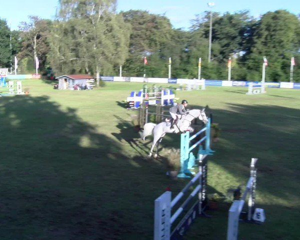 Reitturnier Scharnebeck 2024