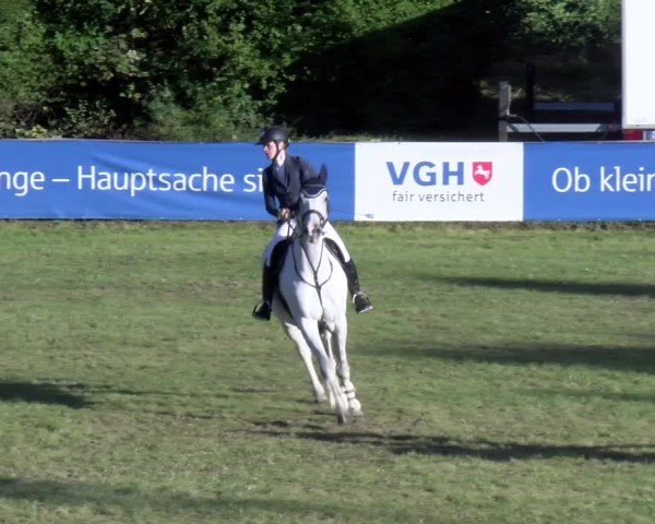 Reitturnier Scharnebeck 2024