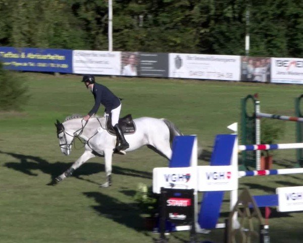 Reitturnier Scharnebeck 2024