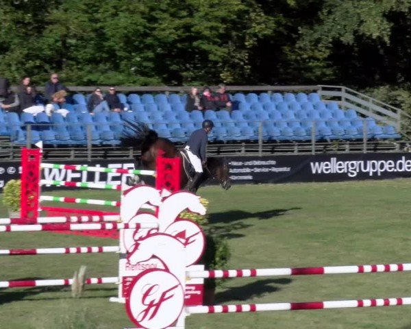 Reitturnier Scharnebeck 2024