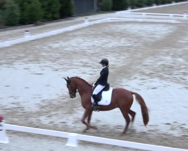 Reitturnier St. Margarethen 2024