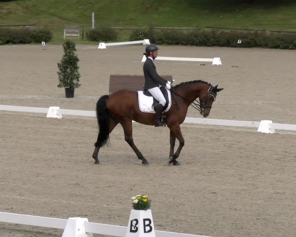 Reitturnier Tübingen 2024