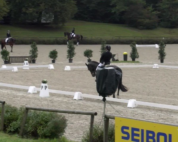 Reitturnier Tübingen 2024