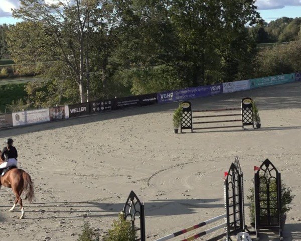 Reitturnier Scharnebeck 2024