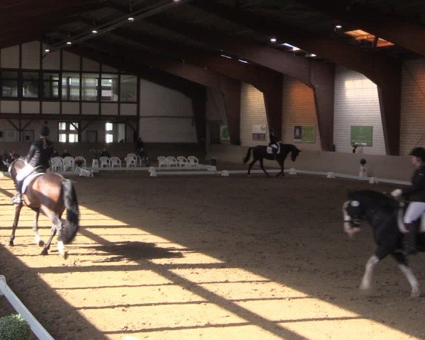 Reitturnier Kamen 2024