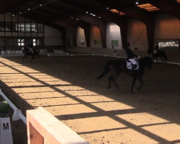 Reitturnier Kamen 2024